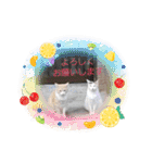 アーユルキャット クリスマスとお正月（個別スタンプ：30）