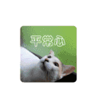 アーユルキャット クリスマスとお正月（個別スタンプ：32）