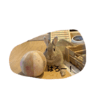 うさうさうさどんっ（個別スタンプ：1）