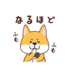 紳士犬おさむ氏（個別スタンプ：16）