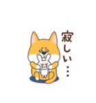 紳士犬おさむ氏（個別スタンプ：20）
