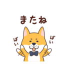紳士犬おさむ氏（個別スタンプ：24）