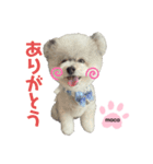 もこすたんぷ❸（個別スタンプ：1）
