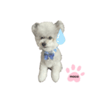 もこすたんぷ❸（個別スタンプ：2）