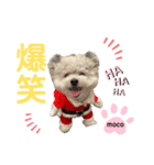 もこすたんぷ❸（個別スタンプ：5）