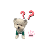 もこすたんぷ❸（個別スタンプ：6）