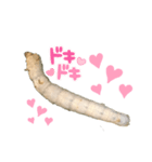 Silk worm（個別スタンプ：1）