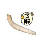 Silk worm（個別スタンプ：2）