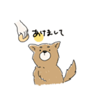 あけましば犬（個別スタンプ：1）