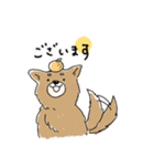 あけましば犬（個別スタンプ：3）
