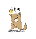 あけましば犬（個別スタンプ：4）
