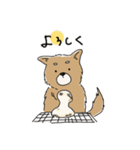 あけましば犬（個別スタンプ：5）