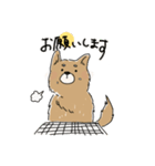 あけましば犬（個別スタンプ：6）