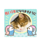 寅年ラムネねこ（個別スタンプ：6）