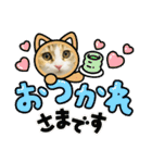 寅年ラムネねこ（個別スタンプ：22）