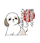 Stickers_Shih Tzu_g シーズースタンプ（個別スタンプ：11）