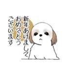 Stickers_Shih Tzu_g シーズースタンプ（個別スタンプ：12）