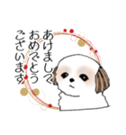 Stickers_Shih Tzu_g シーズースタンプ（個別スタンプ：13）