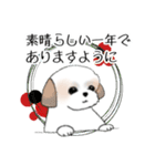 Stickers_Shih Tzu_g シーズースタンプ（個別スタンプ：15）