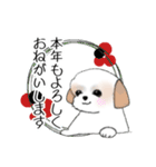 Stickers_Shih Tzu_g シーズースタンプ（個別スタンプ：16）