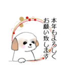 Stickers_Shih Tzu_g シーズースタンプ（個別スタンプ：17）