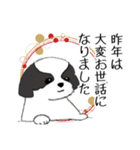 Stickers_Shih Tzu_g シーズースタンプ（個別スタンプ：20）