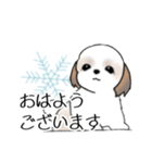 Stickers_Shih Tzu_g シーズースタンプ（個別スタンプ：21）