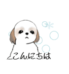 Stickers_Shih Tzu_g シーズースタンプ（個別スタンプ：22）