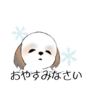 Stickers_Shih Tzu_g シーズースタンプ（個別スタンプ：24）