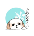 Stickers_Shih Tzu_g シーズースタンプ（個別スタンプ：28）