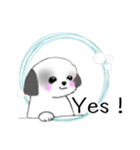 Stickers_Shih Tzu_g シーズースタンプ（個別スタンプ：29）