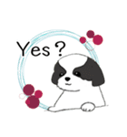 Stickers_Shih Tzu_g シーズースタンプ（個別スタンプ：31）