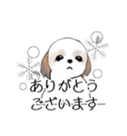 Stickers_Shih Tzu_g シーズースタンプ（個別スタンプ：33）