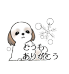 Stickers_Shih Tzu_g シーズースタンプ（個別スタンプ：34）