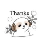 Stickers_Shih Tzu_g シーズースタンプ（個別スタンプ：35）