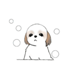 Stickers_Shih Tzu_g シーズースタンプ（個別スタンプ：38）