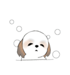 Stickers_Shih Tzu_g シーズースタンプ（個別スタンプ：39）