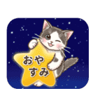 やさしい猫のポップアップ☆改訂再販版（個別スタンプ：16）