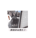 パーすたんぷ 2（個別スタンプ：3）