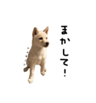きょうのむぎ2（個別スタンプ：14）