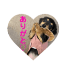 Pinoちゃんの日常（個別スタンプ：7）