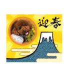ラニ2022（個別スタンプ：11）