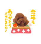 ラニ2022（個別スタンプ：12）