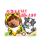 ラニ2022（個別スタンプ：19）