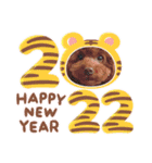 ラニ2022（個別スタンプ：22）