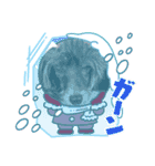 ハッピーちゃんの日常スタンプ（個別スタンプ：16）