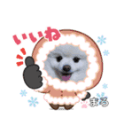 もふもふまろぷんスタンプ（個別スタンプ：5）