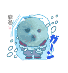 もふもふまろぷんスタンプ（個別スタンプ：6）