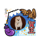 もふもふまろぷんスタンプ（個別スタンプ：8）