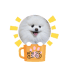 もふもふまろぷんスタンプ（個別スタンプ：18）